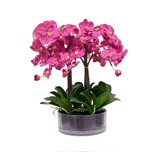 Fuchsia Phalaenopsis Artificial Flowers Spring Refresh