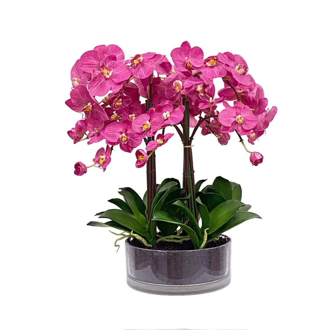 Fuchsia Phalaenopsis Artificial Flowers Spring Refresh