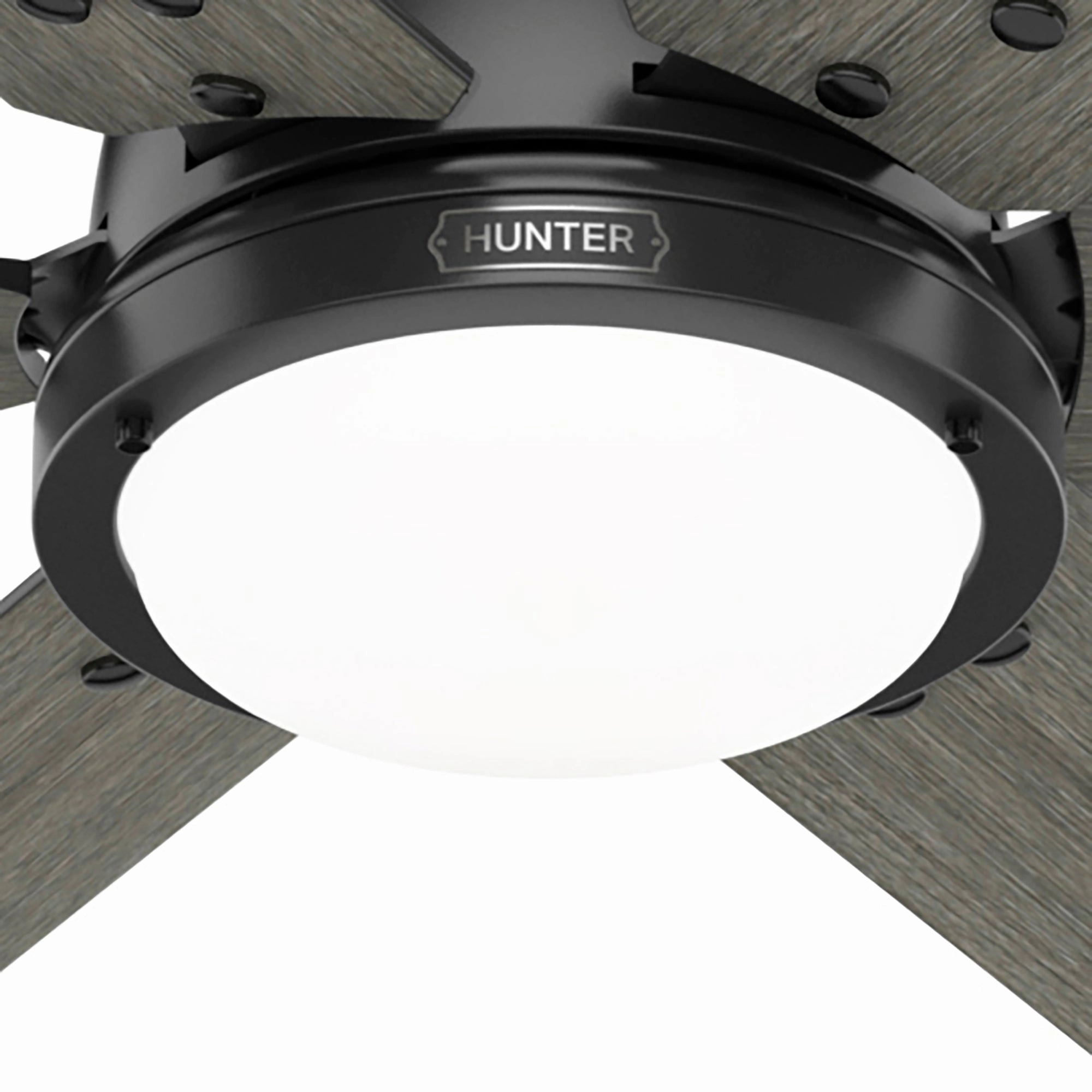 Gravity 72"Ceiling Fan Matte Black Large Ceiling Fans online store