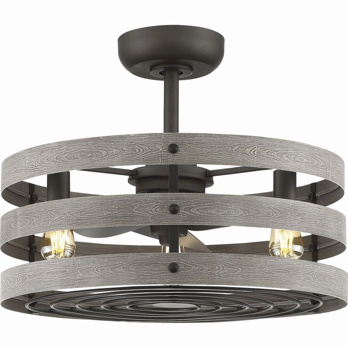 Gulliver 23"Ceiling Fan Graphite Fandeliers at discount prices