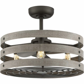 Gulliver 23"Ceiling Fan Graphite Fandeliers FANS on sale now