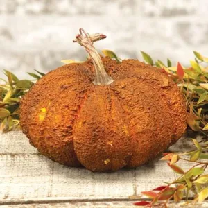 Hallows Pumpkin 6.5" Decorative Accessories last chance deals