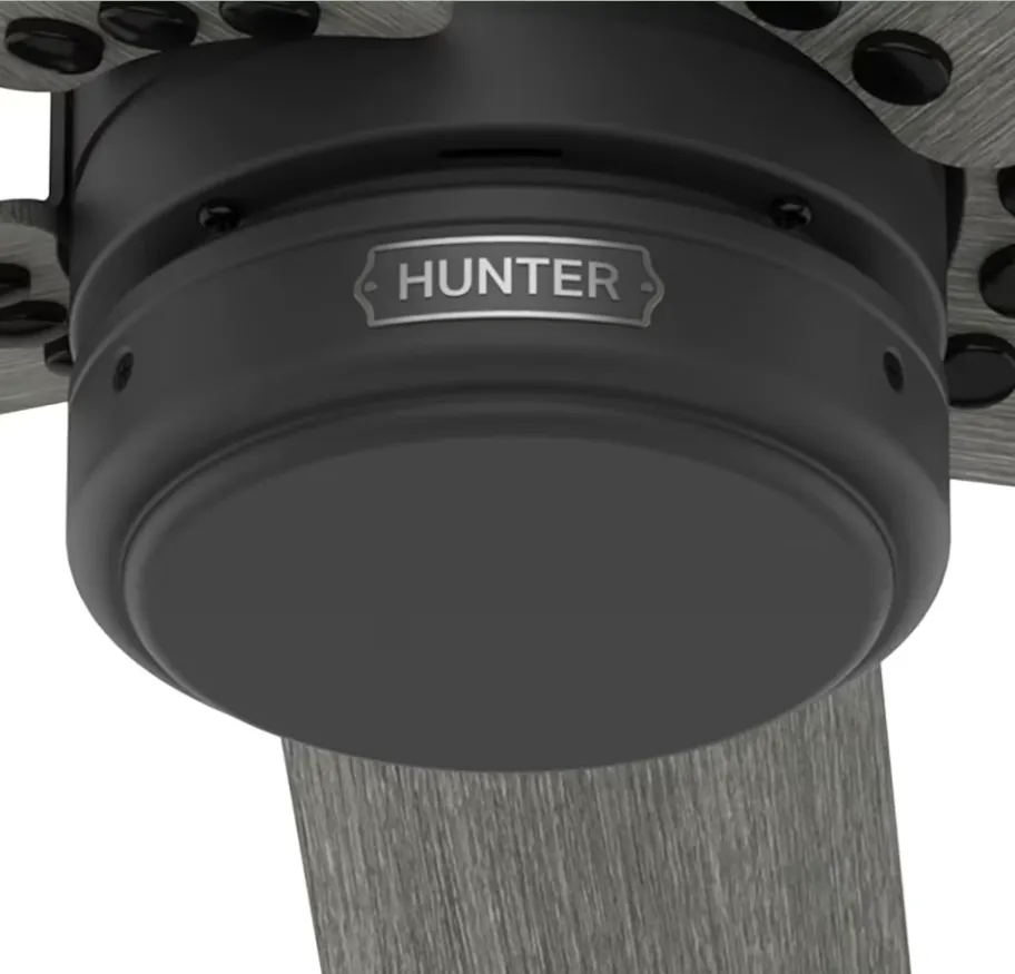 Hunter Fan Burton 52" Outdoor Ceiling Fan with Wall Control