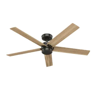 Hunter Fan Burton 52" Outdoor Ceiling Fan with Wall Control Outdoor Ceiling Fans discount