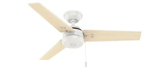 Hunter Fan Cassius Indoor/Outdoor Pull Chain Ceiling Fan Outdoor Ceiling Fans discount