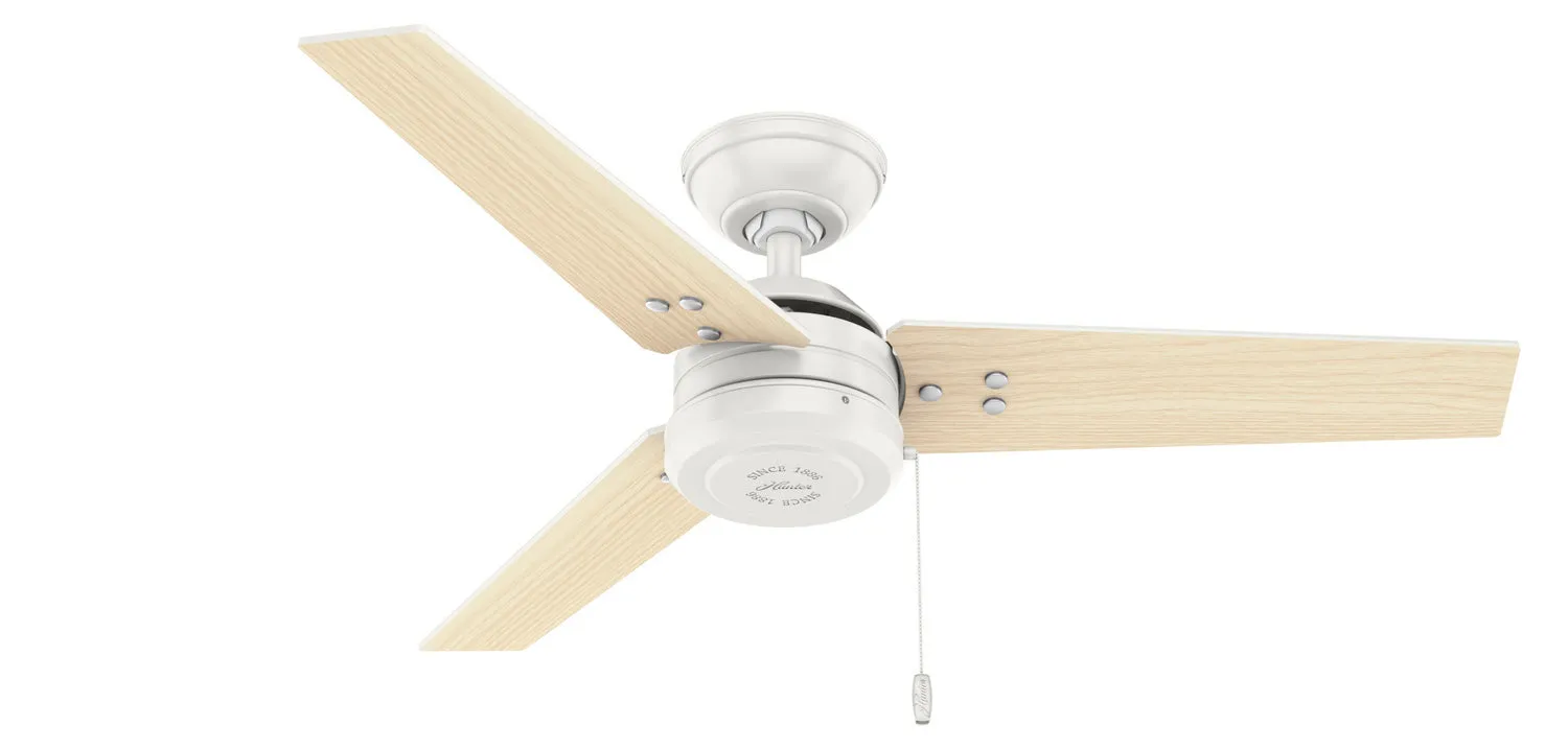 Hunter Fan Cassius Indoor/Outdoor Pull Chain Ceiling Fan Outdoor Ceiling Fans discount