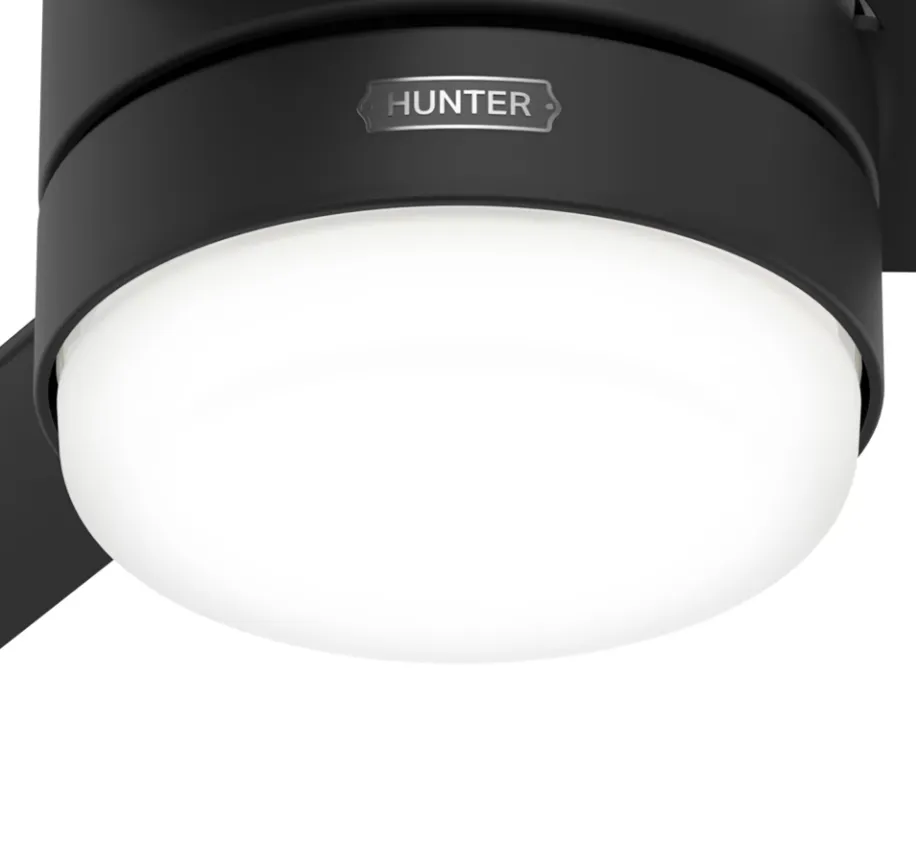 Hunter Fan Gilmour 44" Outdoor Ceiling Fan with 18W LED and Remote