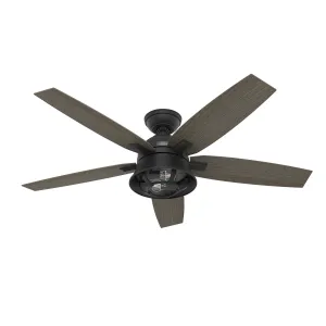 Hunter Fan Hampshire 52" Ceiling Fan with 9W LED and Remote Outdoor Ceiling Fans discount