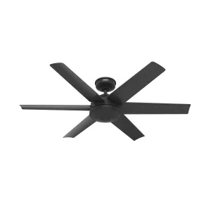 Hunter Fan Jetty 52" Outdoor Ceiling Fan with Wall Control Outdoor Ceiling Fans discount