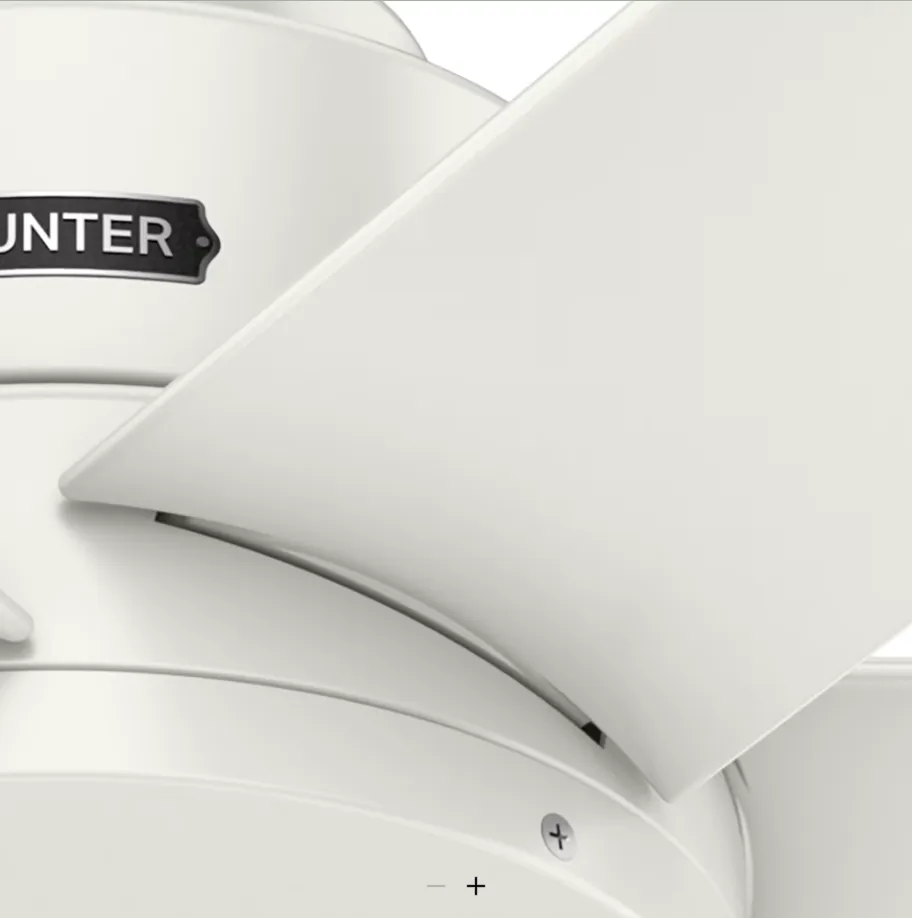 Hunter Fan Kennicott Indoor/Outdoor Ceiling Fan with Wall Control