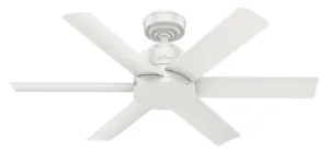 Hunter Fan Kennicott Indoor/Outdoor Ceiling Fan with Wall Control Outdoor Ceiling Fans discount
