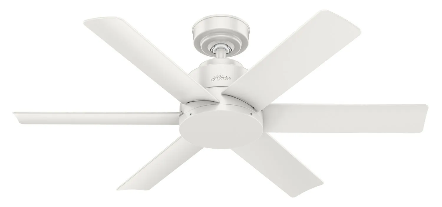 Hunter Fan Kennicott Indoor/Outdoor Ceiling Fan with Wall Control Outdoor Ceiling Fans discount