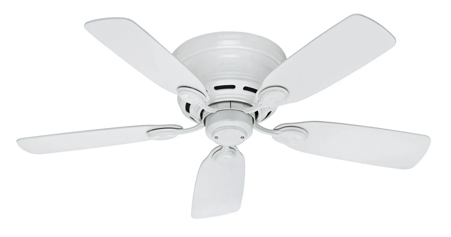 Hunter Fan Low Profile IV 42" Indoor Flushmount Pull Chain Ceiling Fan