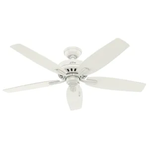 Hunter Fan Newsome 52" Indoor/Outdoor Pull Chain Ceiling Fan Outdoor Ceiling Fans discount
