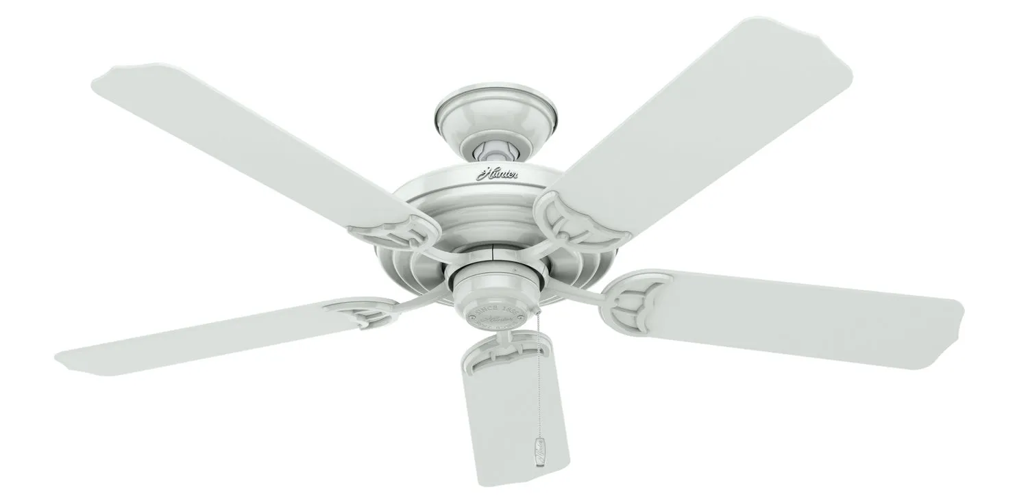 Hunter Fan Sea Air 52" Outdoor Pull Chain Ceiling Fan