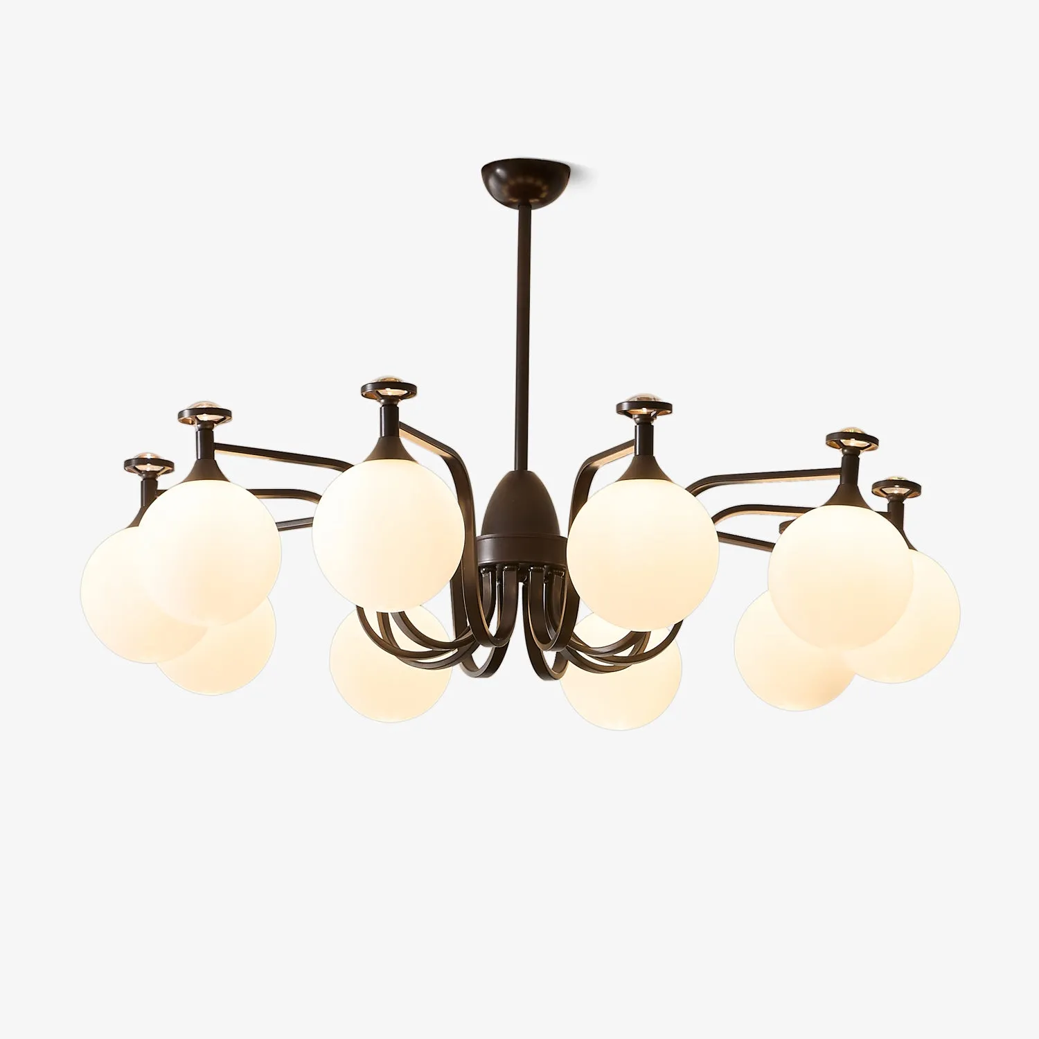 Isolde Chandelier Cheap Living Room Lighting sale
