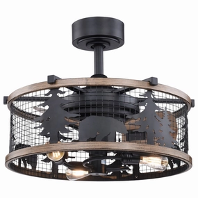 Kodiak 21"Ceiling Fan Oil Rubbed Bronze and Burnished Teak Fandeliers FANS on sale now