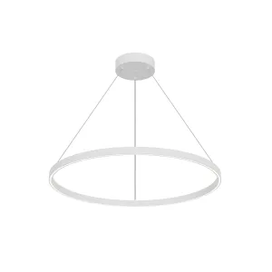 Kuzco Lighting LED Pendant Buy Ceiling Lights online
