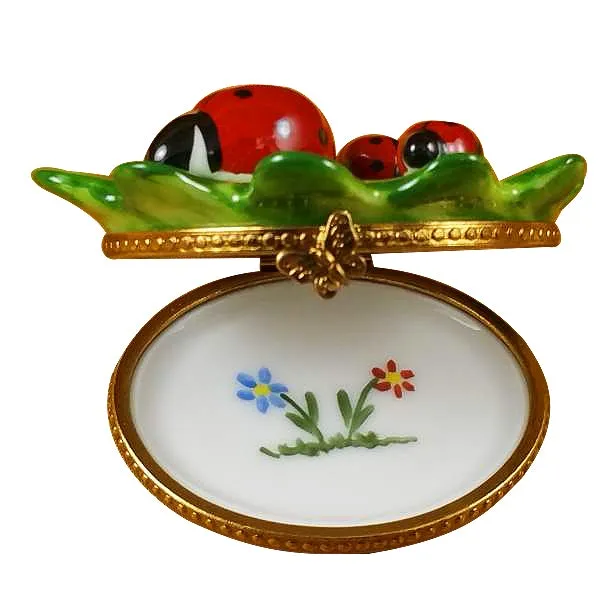 Ladybug Family Limoges Limoges Boxes collectors shop