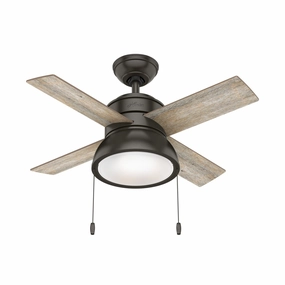 Loki 36"Ceiling Fan Noble Bronze Small Fans FANS special offer