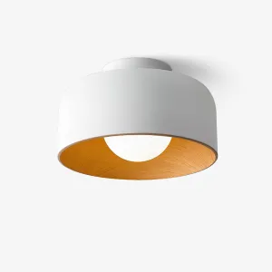Lumosphere Ceiling Light Stylish Living Room Lights