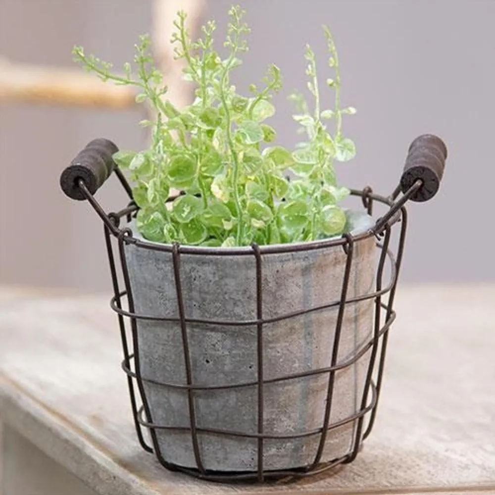 *Metal Wire Basket with Cement Pot