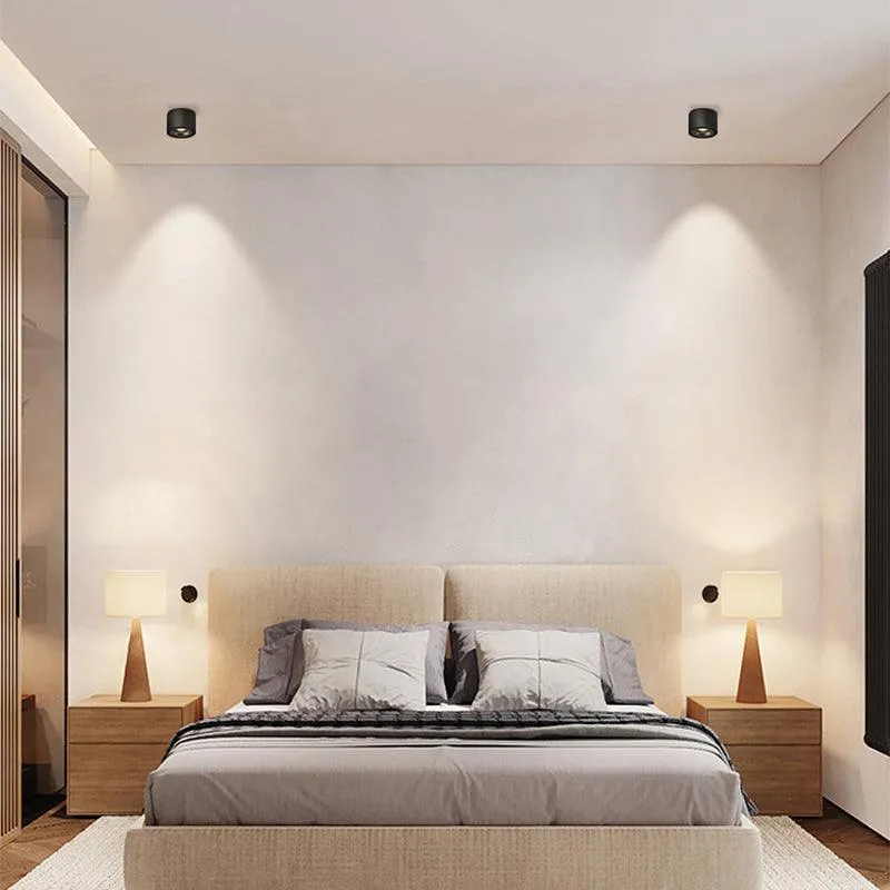 Modern Ember Recessed LED Downlight