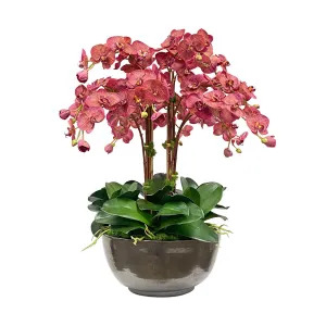 Montecito Phalaenopsis Artificial Flowers Spring Refresh