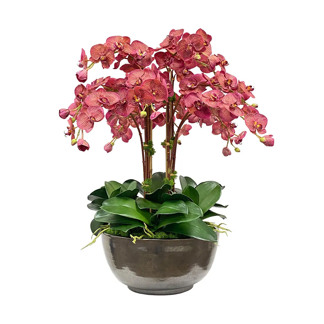 Montecito Phalaenopsis Artificial Flowers Spring Refresh