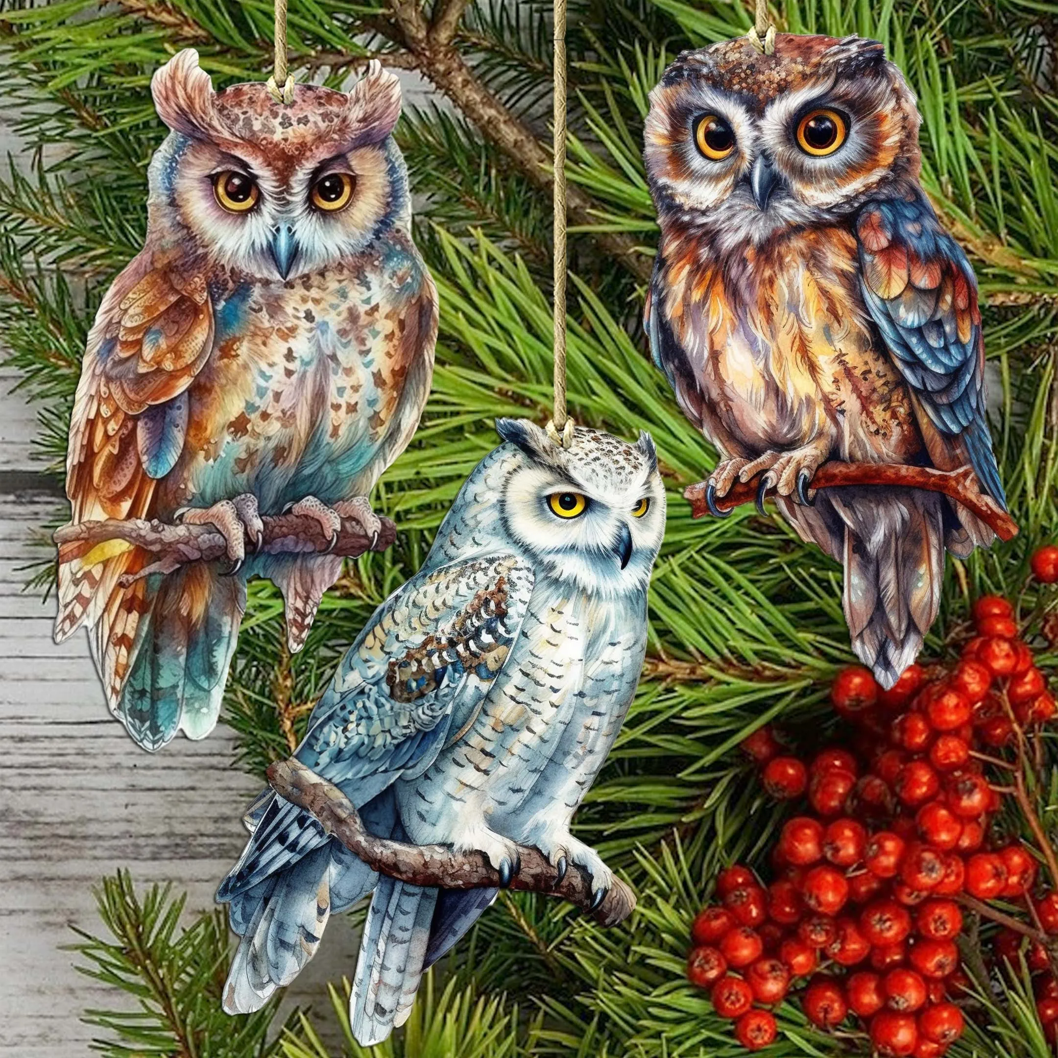 Night Owls Decorative Wooden Christmas Ornaments of 3 by G. Debrekht