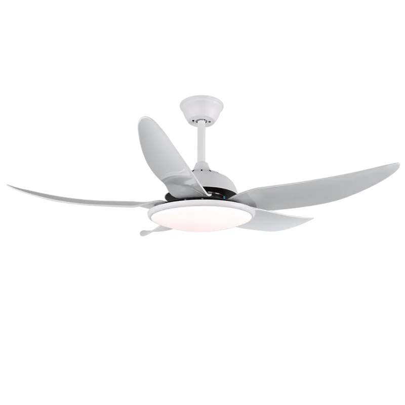 Noctura Ceiling Fan Light