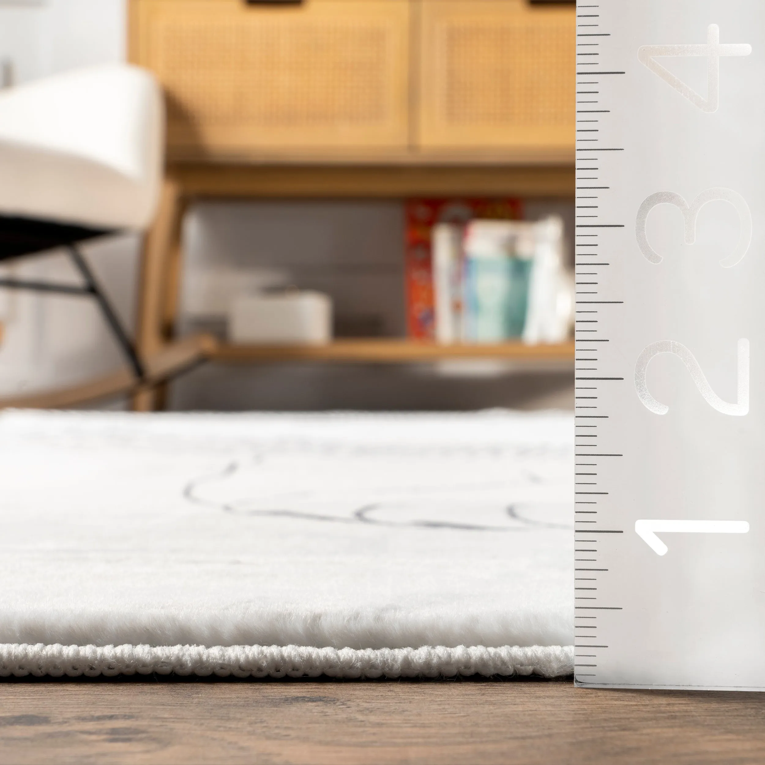 nuLOOM Kinslee Modern Lion Machine Washable Kids Area Rug