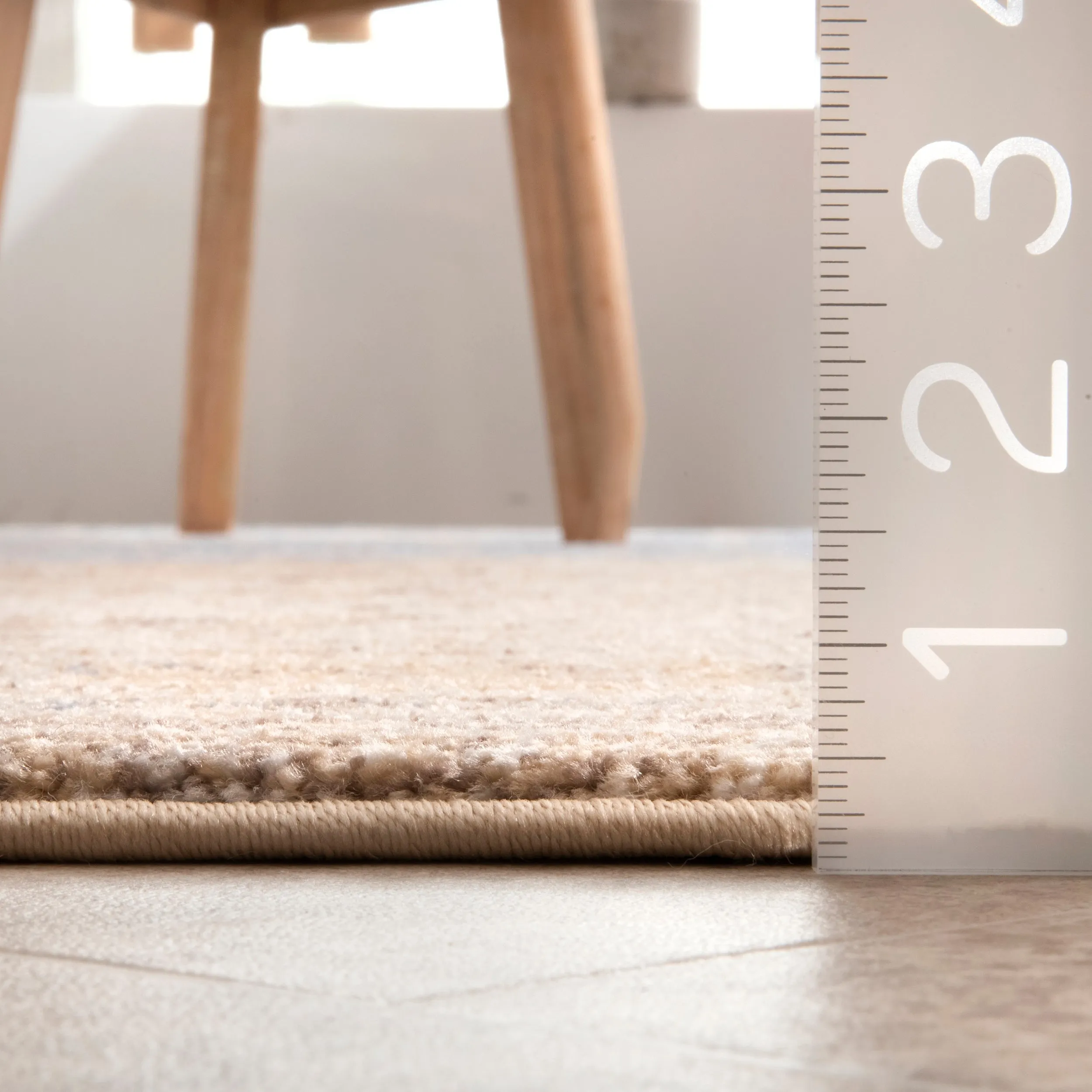 nuLOOM Vintage Kirsten Medallion Area Rug