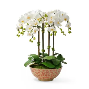 Orchid in Longlife Bowl Artificial Flowers Spring Refresh