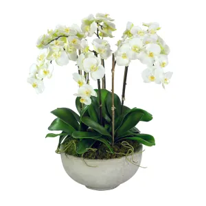 Orchids in Bowl Artificial Flowers Spring Refresh