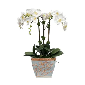 Orchids in Cherry Blossom Cachepot Artificial Flowers Spring Refresh