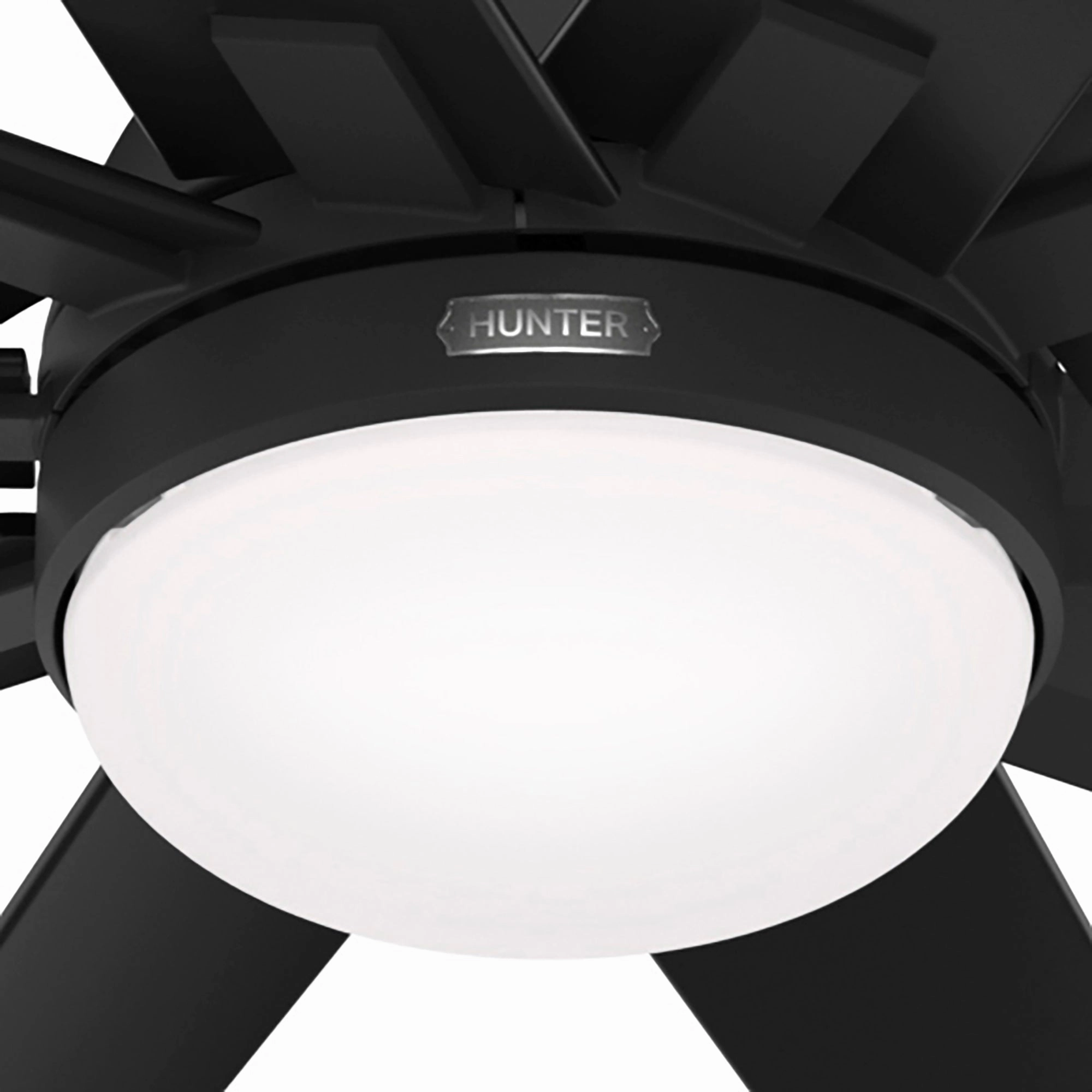 Overton 72"Ceiling Fan Matte Black Large Ceiling Fans online store