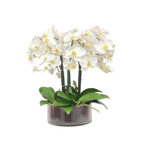 Phalaenopsis In Low Cylinder Vase Artificial Flowers Spring Refresh