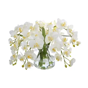 Phalaenopsis Orchids in Glass Artificial Flowers Spring Refresh