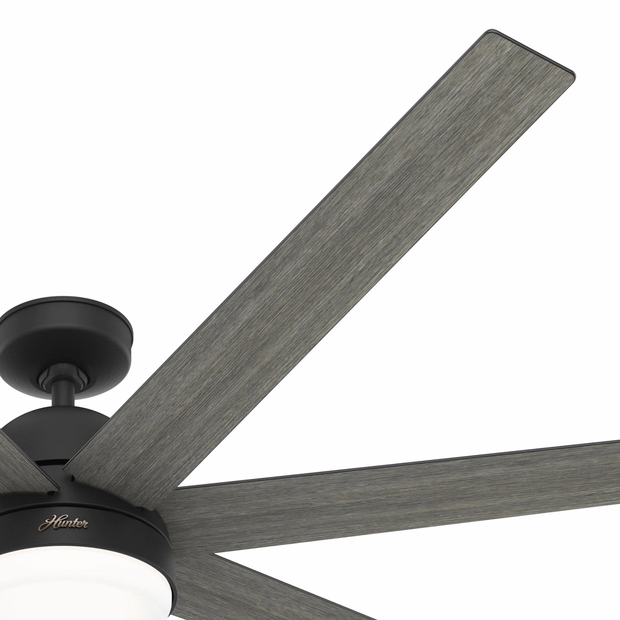 Phenomenon 70"Ceiling Fan Matte Black Large Ceiling Fans online store