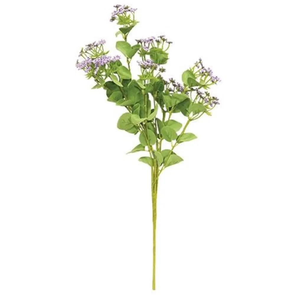 *Queen Ann's Lace Spray Purple