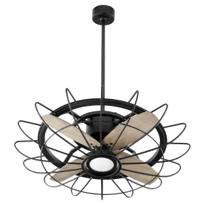 Quorum Mira 30" Indoor/Outdoor 18W LED DC Ceiling Fan with Wall Control Outdoor Ceiling Fans discount