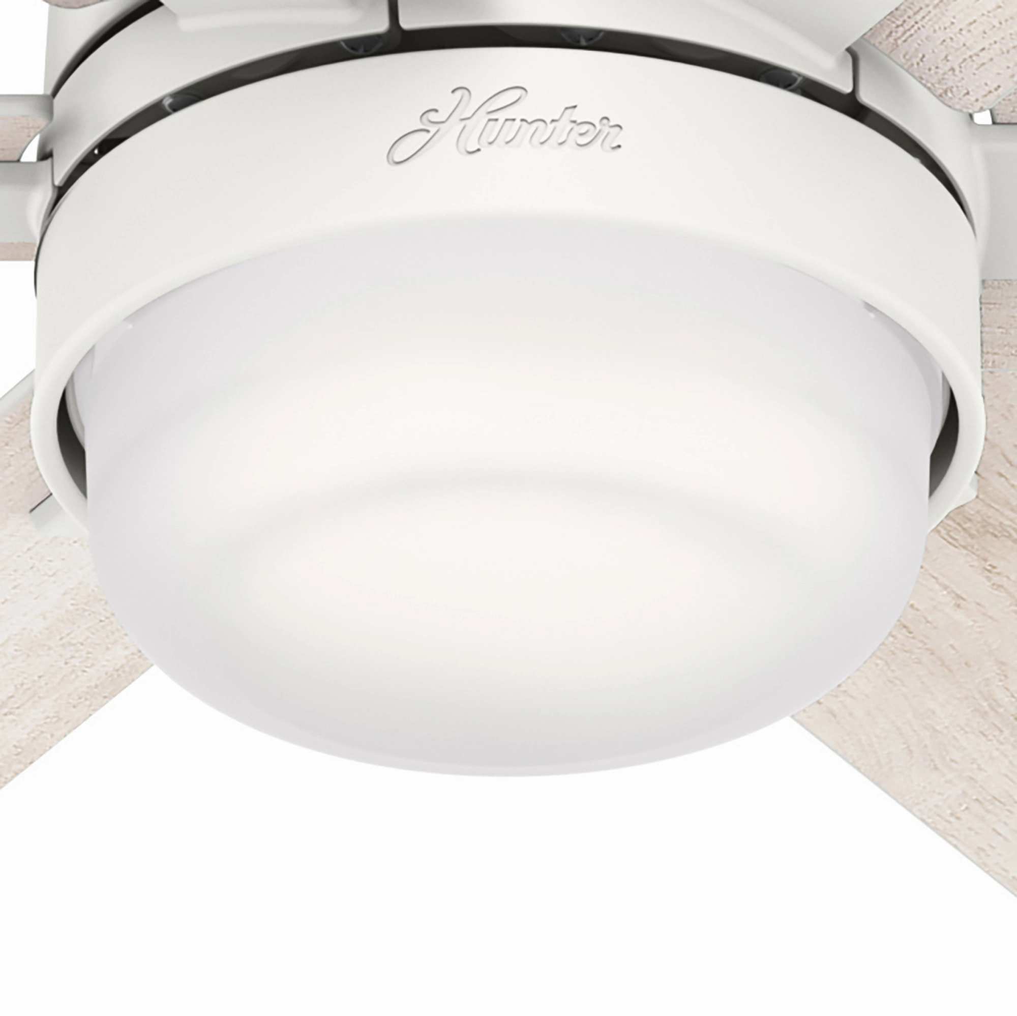 Radeon 44"Ceiling Fan Matte White Small Fans for less