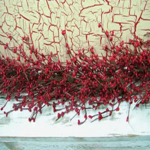 Red Pip Garland 4 ft. Cheap Holiday Home Decor