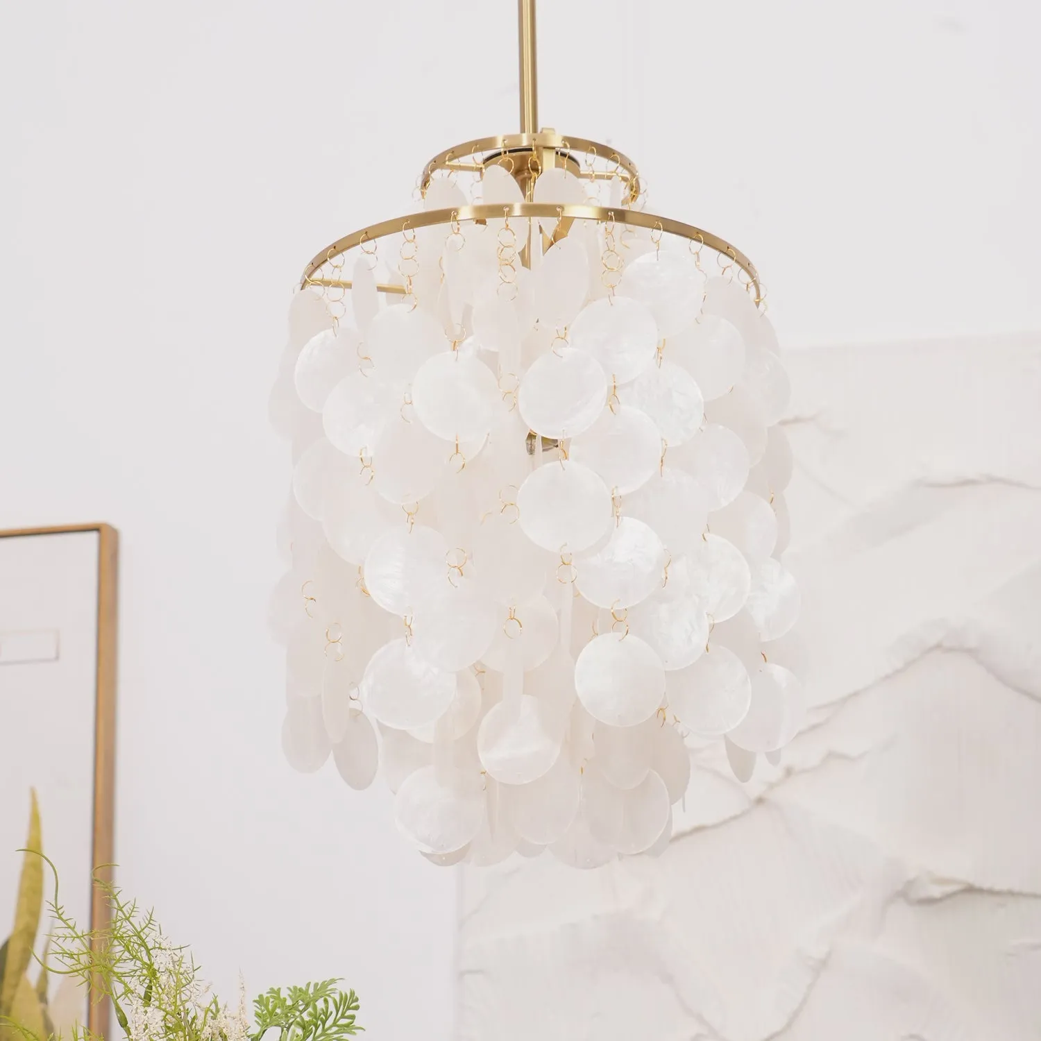 Round Shell Chandelier
