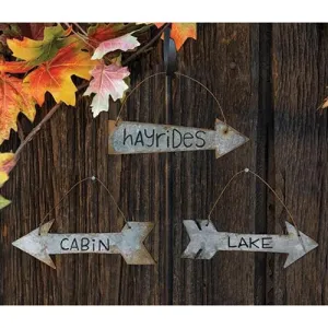 *Rustic Cabin Arrow Ornaments 3 asstd. Budget Holiday Home Finds