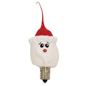 Santa Bulb 4 Watt Unique Seasonal Decor store
