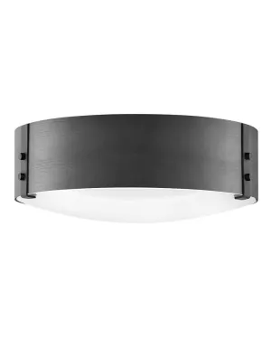 Sawyer LED Flush Mount in Black Cheap Low Ceiling Lighting