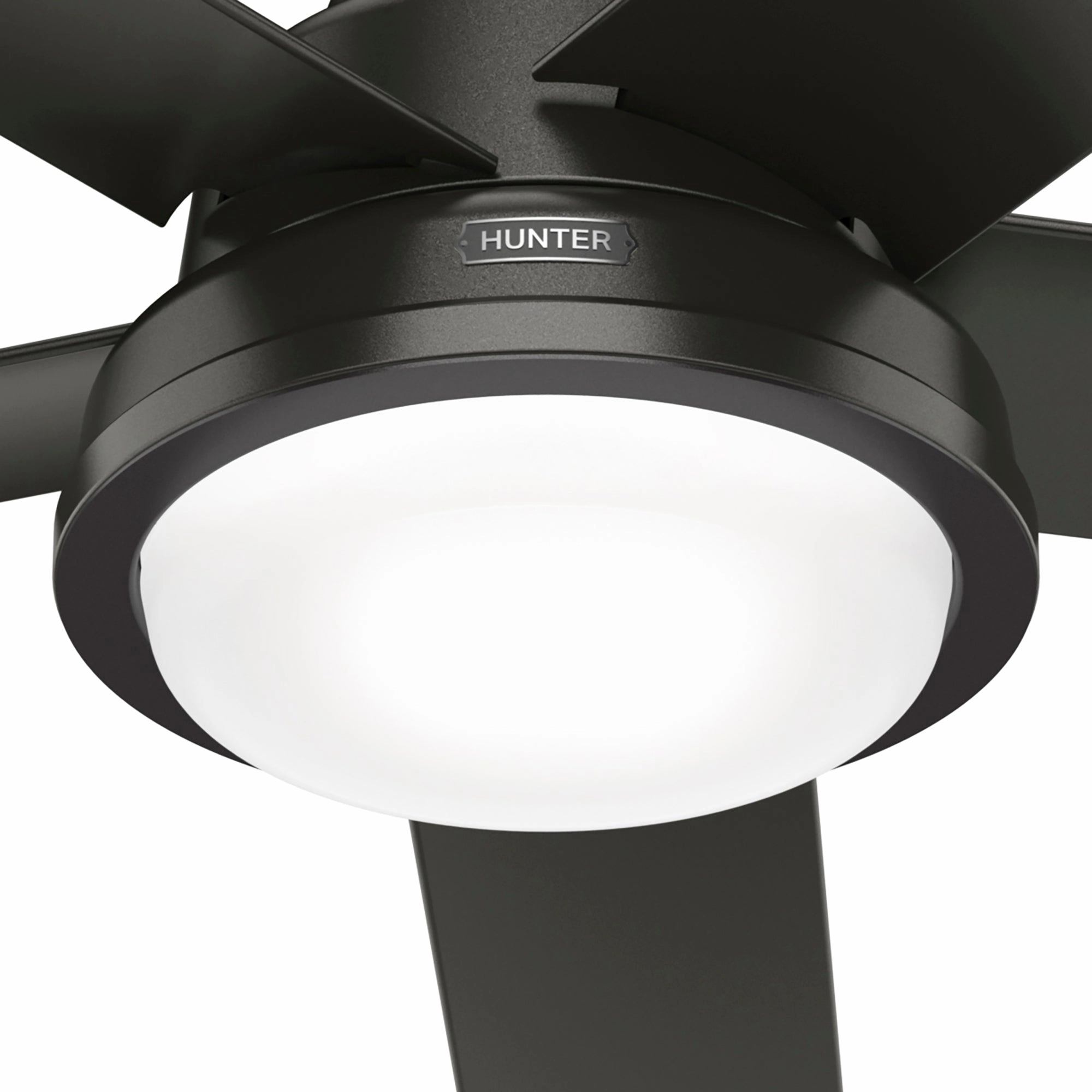 Seawall 52"Ceiling Fan Noble Bronze Exterior Fans special offers