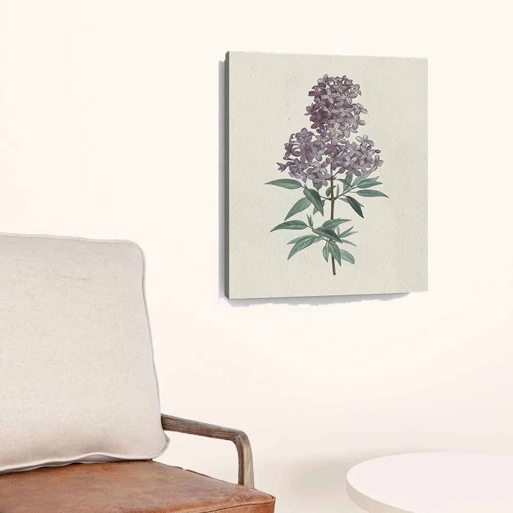 Singular Purple Blossom Branch Unframed Print Wall Art Decorative Accessories best selling